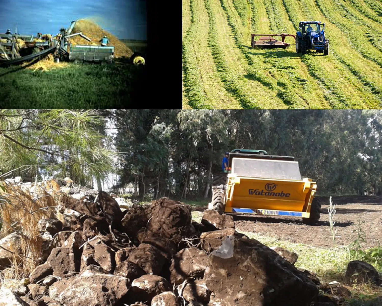 CT-2100-Rock-Picker-application-1