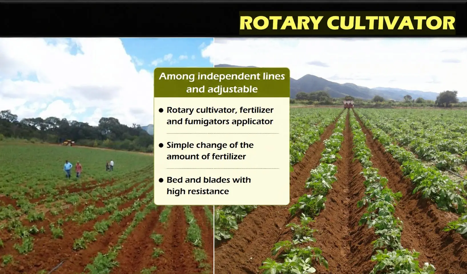 Watanabe EP-ERA rotary cultivator for potato hilling — spring-loaded arms protect developing tubers, 125 Kg per row fertilizer bunker